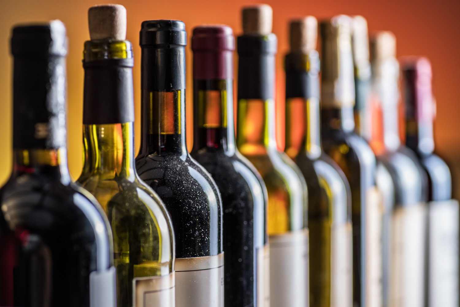 Line of wine bottles. Close-up.